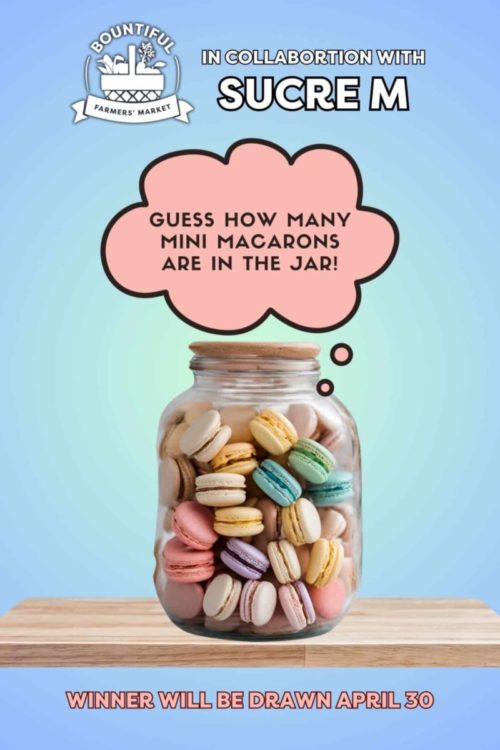 Guess How Many Mini Macarons Are In The Jar!