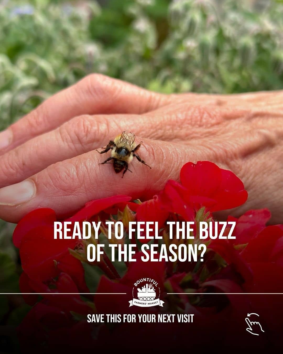 It’s honey harvest season at Bountiful Farmers’ Market! 🍯🐝

From golden honey to beeswax blends and honeycomb, our local vendors have the sweetest lineup of the season 💛

📅 Fri (10-4) | Sat (9-4) | Sun (10-4)
Bountiful Farmers’ Market
📍 3696 97 St NW Edmonton

#Bees #LocalHoney #BountifulFarmersMarket #YEG #shoplocal