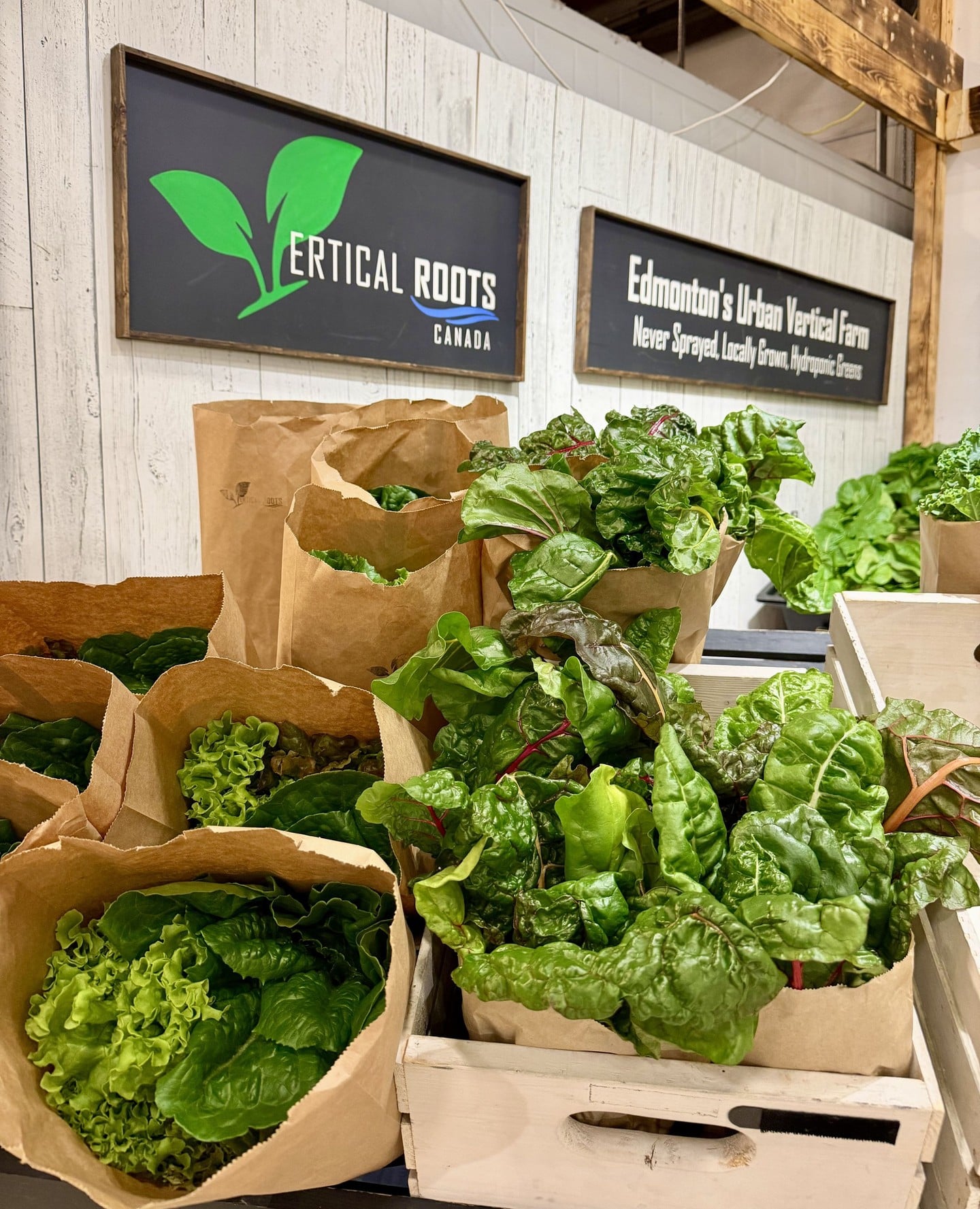 Fresh doesn’t get fresher 🌱⁠
⁠
@verticalrootsedmonton harvests their hydroponic greens the same day you buy them — no long travel, no storage, just clean local food.⁠
Part of a growing network of owner-operated farms across Alberta and beyond.⁠
⁠
📍Booth A1⁠
🕓 Fri 10–4 | Sat 9–4 | Sun 10–4⁠
⁠
#LocalGreens #BountifulFarmersMarket #YEG #YEGLocal