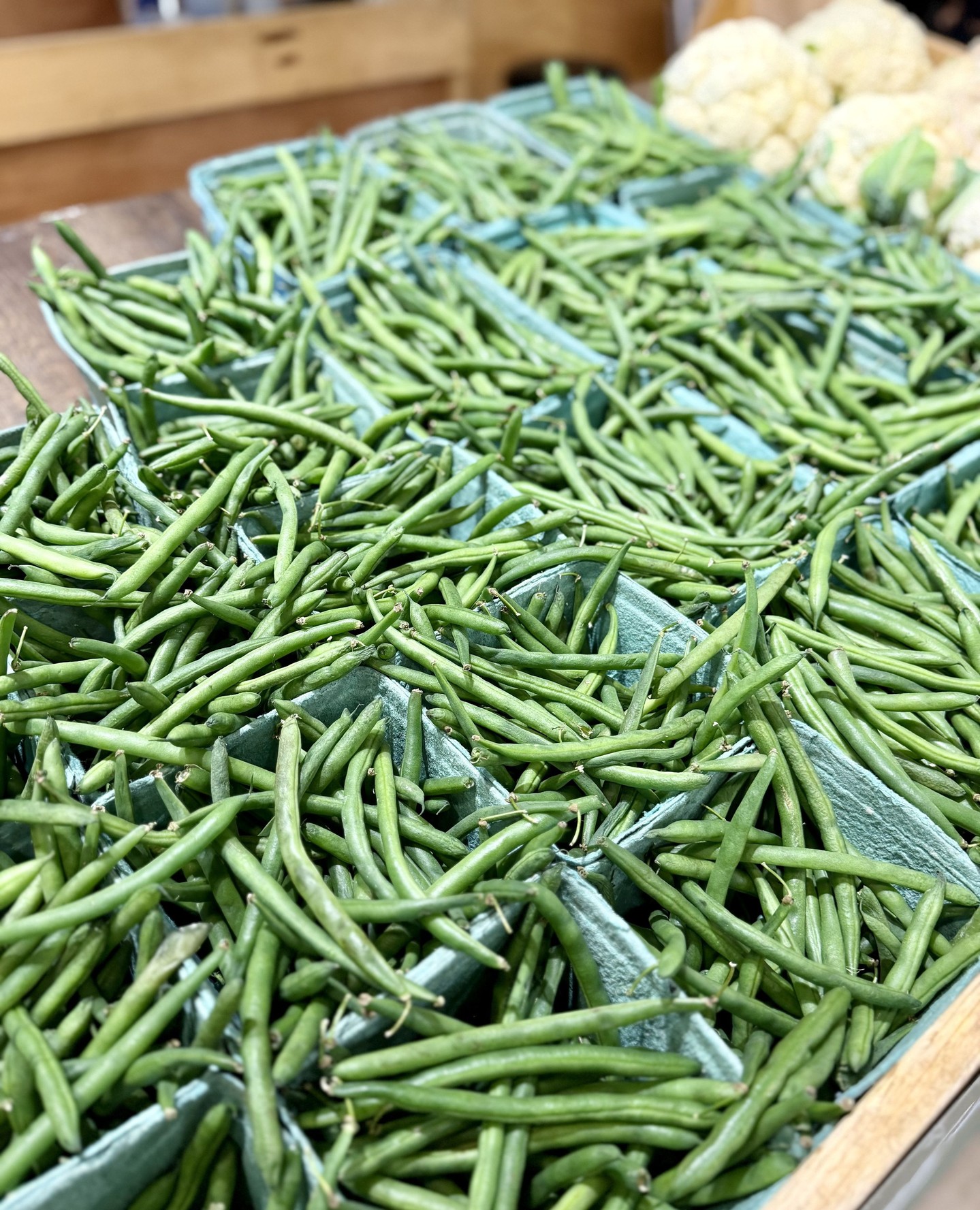 Fresh, seasonal, and grown right here in the city.
Green beans from @riverbendgarden — vegetables raised with care along the banks of the North Saskatchewan River, on land that’s been thoughtfully farmed to support healthy soil and seasonal eating. For those who like knowing where their food comes from, this is what local looks like.
📍 Booths L6–L8
🕓 Fri 10–4 | Sat 9–4 | Sun 10–4
#BountifulFarmersMarket #YEGLocal #YEGProduce #YEGFarmers #SupportLocalYEG #YEG