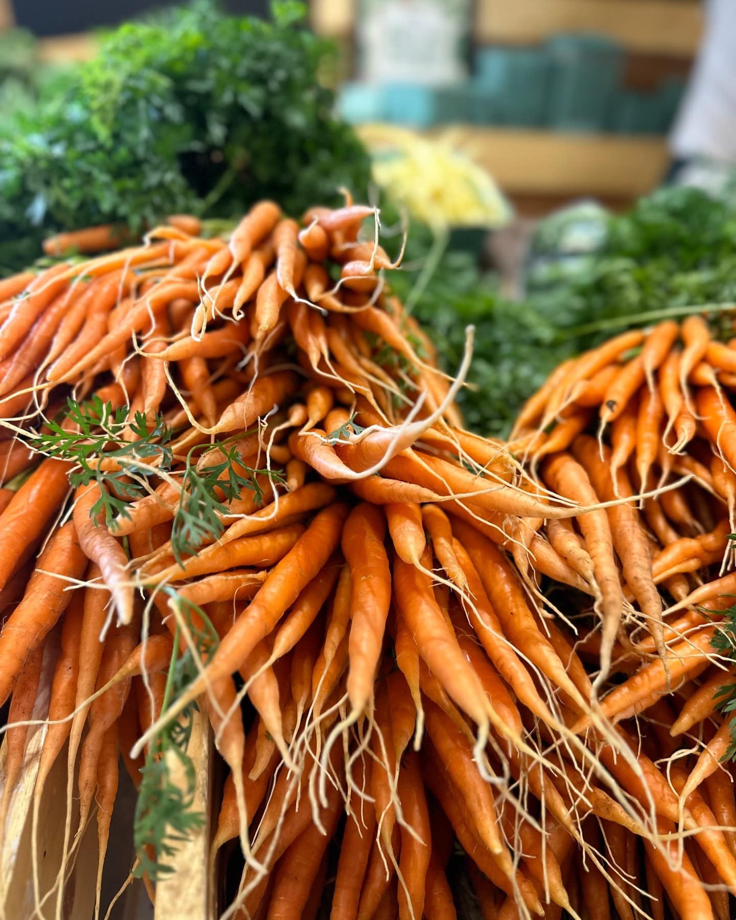 Swing by the market this weekend for your weekly kitchen restock — crisp carrots like these are perfect for roasting with olive oil and herbs, tossing into soups and stews, or grating into a quick carrot salad.
🚗 Free parking at the market
🕓 Fri 10–4 | Sat 9–4 | Sun 10–4
📍 Bountiful Farmers’ Market
#BountifulFarmersMarket #YEGLocal #YEGFarm #YEG #SupportLocalYEG #YEGFresh