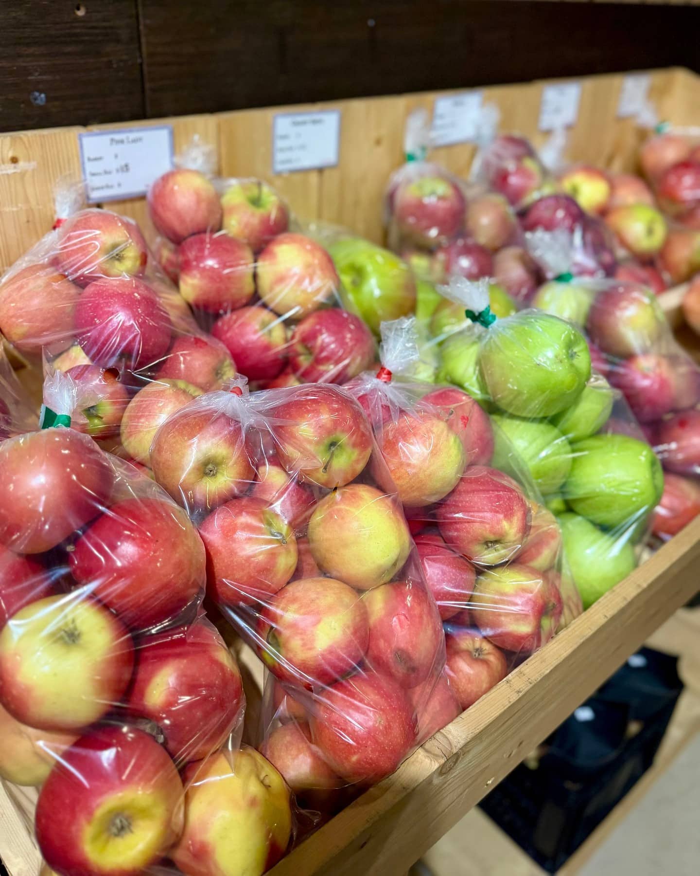 Apples like these from @walkerorchards are perfect for your weekend market restock — snack on them fresh, slice them into salads, or bake them into a warm apple crisp to enjoy at home.
📍 Booths G4, G5–6
🕓 Fri 10–4 | Sat 9–4 | Sun 10–4
#BountifulFarmersMarket #YEGLocal #YEGFresh #YEGMarket #YEG #SupportLocalYEG