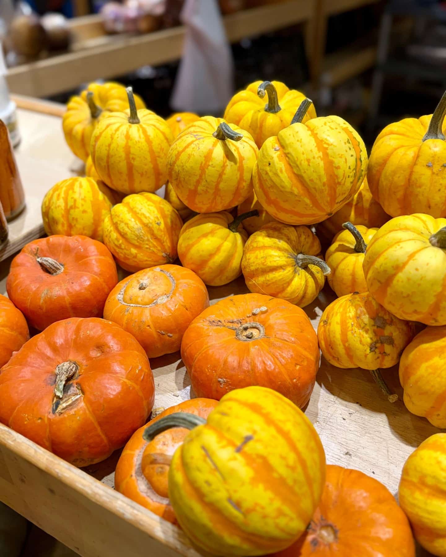 A good pumpkin goes a long way — roast it with olive oil and spices for an easy side, blend it into a velvety soup, or bake it into muffins or a classic pumpkin loaf.

Pick one up at the market this weekend and bring a little comfort into your kitchen.

🕓 Fri 10–4 | Sat 9–4 | Sun 10–4
📍 Bountiful Farmers’ Market

#BountifulFarmersMarket #YEGLocal #ComfortFood  #YEGCooking #YEGFood #YEGMarket