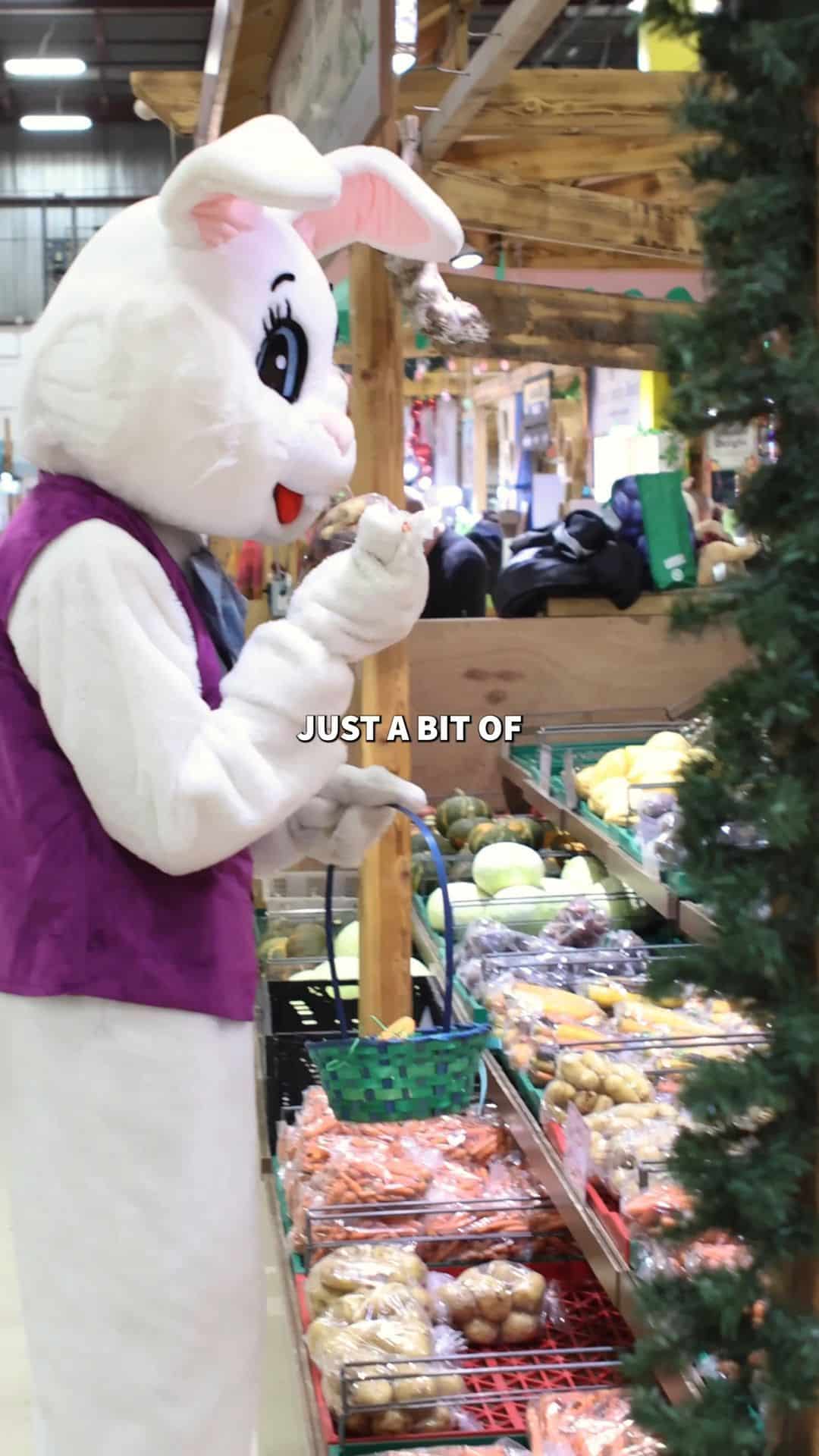 🐰 The Easter Bunny is officially at Bountiful!

Capture a sweet spring memory with the family. Be sure to book your Easter photos online before spots fill up — walk-ins are welcome, subject to availability 📸

Our Easter colouring contest is also underway for the kiddos! Pick up a sheet at the Info Booth and return your masterpiece by April 5 🎨

March 27 – April 5
11 AM – 3 PM

#BountifulFarmersMarket #EasterAtBountiful #YEGEvents #YEGFamily #EasterFun #YEGLocal #WeekendPlans #SupportLocalYEG