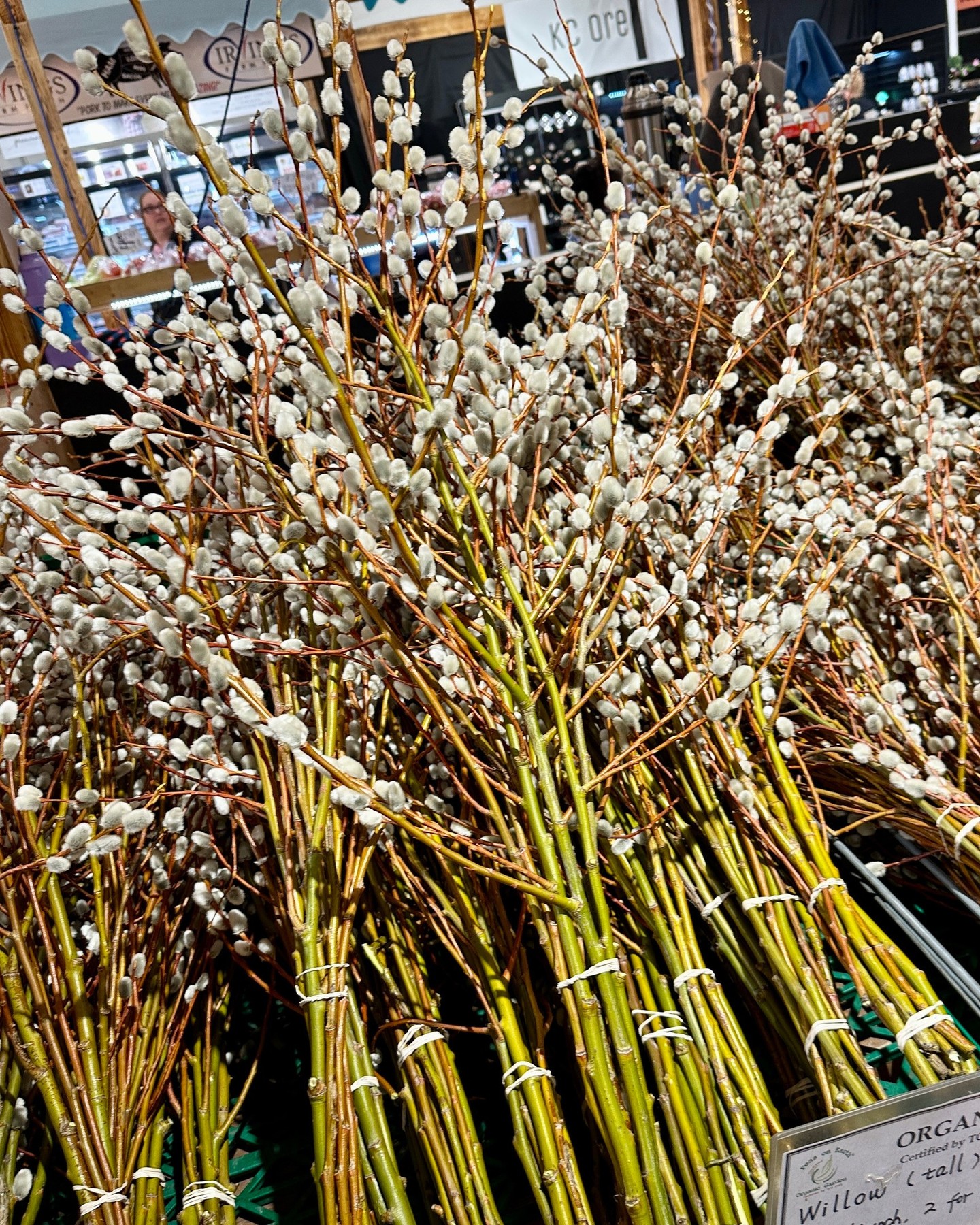 Soft signs of spring 🌿

Pussy willows are the fuzzy buds that grow on willow branches — one of the first plants to bloom as winter fades. They’re often used as a natural, long-lasting decoration to bring a touch of the season indoors.

Find them at @peas.on.earth.organic and bring a little early spring into your home.

🕓 Fri 10–4 | Sat 9–4 | Sun 10–4
📍 Bountiful Farmers’ Market

#BountifulFarmersMarket #YEGLocal #SpringVibes #SeasonalDecor #ShopLocalYEG